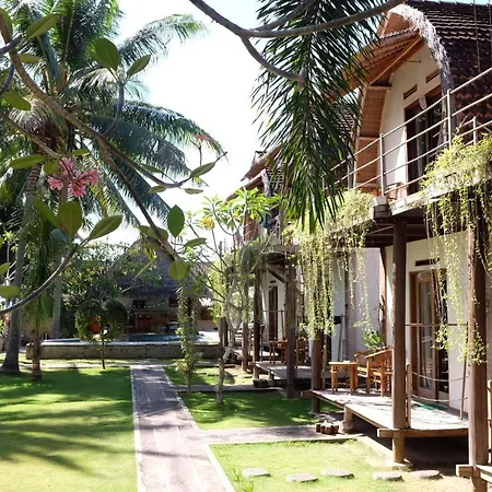 Tentacle Bali