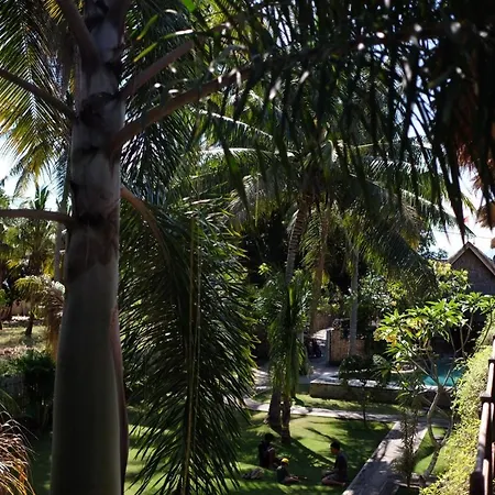 Tentacle Bali