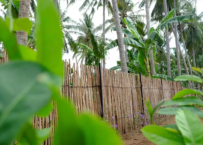 Tentacle Bali 2* Ped