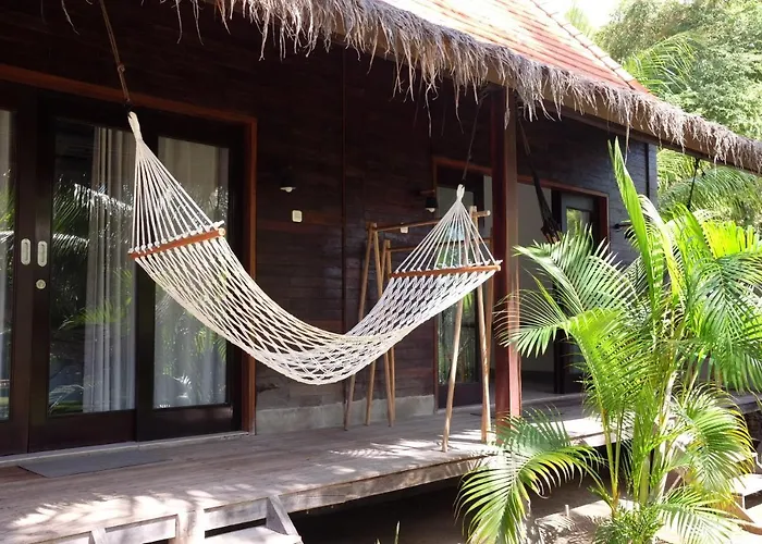 Tentacle Bali